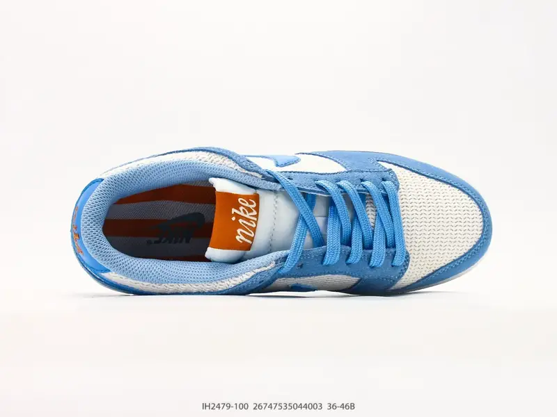 Nike Скейт-обувь Классический Низкий верх Комфортный IH2479-100 #26747535044003