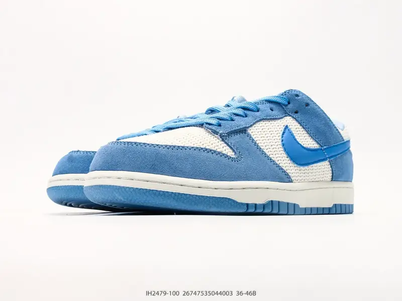 Nike Скейт-обувь Классический Низкий верх Комфортный IH2479-100 #26747535044003