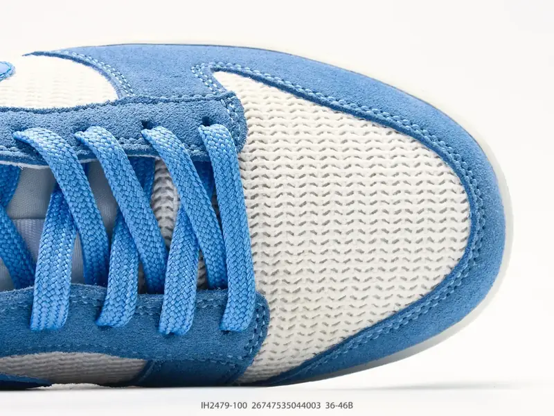 Nike Скейт-обувь Классический Низкий верх Комфортный IH2479-100 #26747535044003