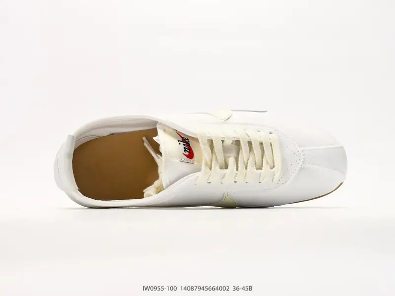 Nike Scarpe da skate Antiscivolo Resistente Basso IW0955-100 #14087945664002