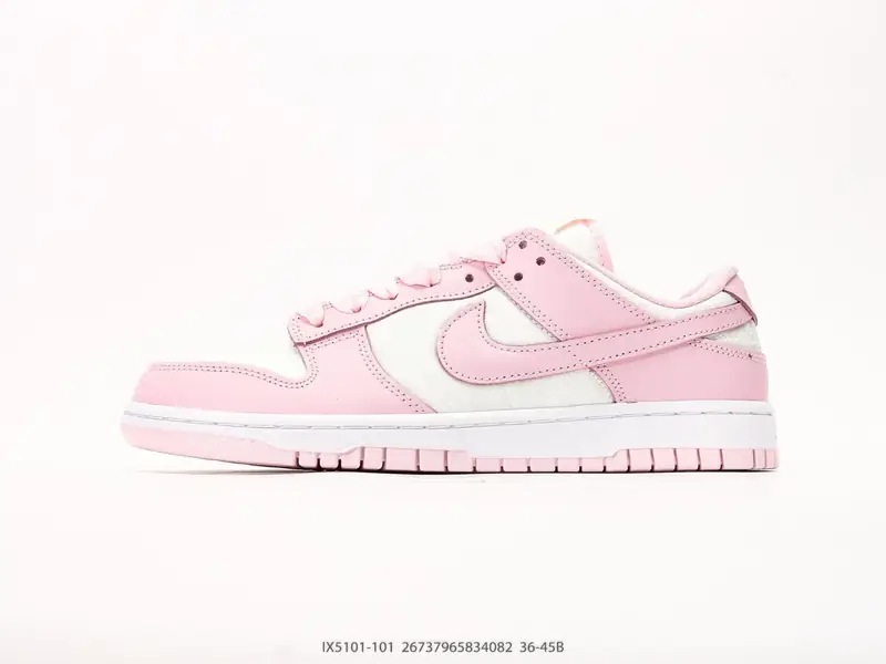 Nike Skateboardschuhe Klassisch Niedrig Komfortabel IX5101-101 #26737965834082